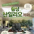스타피씨카페 | 횡성에서 인생 바닐라아이스크림 찾음 자연 속 힐링카페 “산일리오카페” 솔직후기 내돈내산