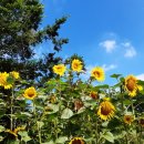 수안영농조합법인 이미지