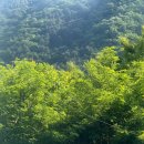 가평 숲속의 계곡 펜션 이미지