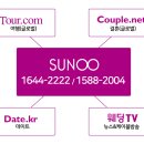 선우시스템 티스토리