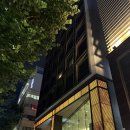 [강남,언주] 카푸치노호텔, 시티뷰호텔 , 카푸치노 킹 2박3일 후기, 강남 가성비호텔, 애견동반가능호텔🐶🐾