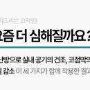 시원숨이비인후과의원 이미지