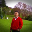 상청 Daum카페