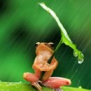 포낙보청기 고양일산센터 이미지