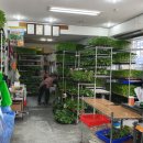 봄농약사 이미지