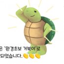 토끼와거북이2 이미지