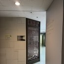 손이빛나리 | 대전 서구 탄방동 속눈썹연장/속눈썹펌 추천 _ 더빛나리