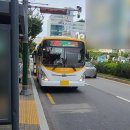 두일초교사거리 이미지