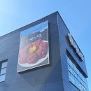 제주정비소 | 제주도 렌트 가격 스쿠터 빌리고 근처 제주 갈치조림 맛집, 오메기떡 방문 후기