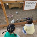 한터어린이집 | 용인 한터농원 일일캠핑존에서 어린이집 친구들과 함께한 힐링 캠핑 데이!