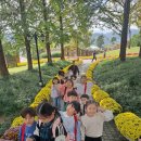 산새소리유치원+금샘어린이집 | 체험학습