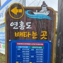 섬in섬 연홍미술관 | 가고싶은 섬 지붕없는 미술관 연홍도