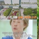 공감조경나무병원