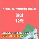 한림풀에버공인중개사사무소 | 도램14단지한림풀에버 1413동 도담동 매매 12억 추천합니다!