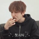 분당백현-D-6 | 260104 백현 레버리 닷 솔로 콘서트 후기💜🎀 | BAEKHYUN Reverie-dot Solo Concert