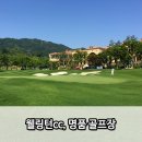 웰링턴CC 이미지