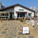 아침정원 | [광양 : 최애 카페] 아침의 정원 (솔직 후기, 공주가 된 기분이야!!)