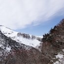 한라산백록담 이미지