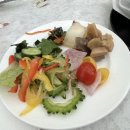 희망콘서트 투게더 | 일본여행 8일차 이제 집으로!