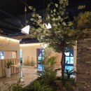 호오마카세 | 김해 율하2지구 오마카세 맛집 호 오마카세 런치 코스 솔직 후기