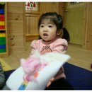 솜나라 이미지