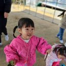 마곡11 나무햇살어린이집 이미지