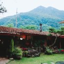 성골촌 | 단양 소백산 계곡 백숙 맛집, 성골촌 펜션가든