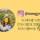 거로레인지골프 네이버블로그