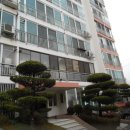 양덕동203 이미지