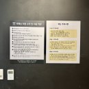 [ 마곡태닝 ] 마곡역 유일하게 에르고라인이 있는 찐태닝에서 브라운태닝 후기