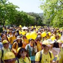 노란풍선 이미지