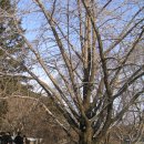 개성가는길 이미지