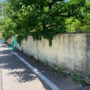 내2리경로당 이미지