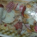 정민이네 이미지