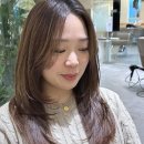 머리야부탁해