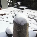 복신미륵-서자복 이미지