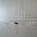 금호3차 아파트 이미지