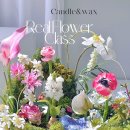 (원데이)히아시스 플라워 캔들 이미지