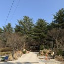 포천 나무새 캠핑장 1박 후기 | 겨울 캠핑, 따뜻하게 즐기기 좋은 곳!