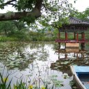 진주 용호정원 이미지