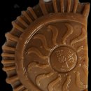 도토리묵 만들었어요 이미지