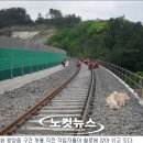 개운인력 이미지