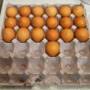 황금설렁탕 | 원당맛집 일산황금설렁탕 몸보신 후기