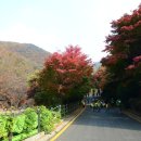 소요산서울식당 이미지