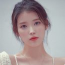 콘스트 이미지