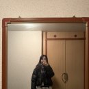2412 | [2412] 인천-히드로 KLM 항공 탑승 후기✈️