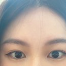 온새로미눈썹 이미지