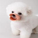 2942 이미지