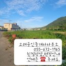 (경남고성부동산) 거류면/ 바다조망 나오는 건축가능한 토지매매/ 1,342제곱미터(406)/1억6,240만원 이미지