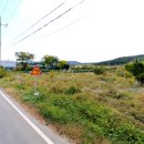 관청농장 이미지